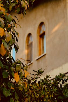 Charming old building