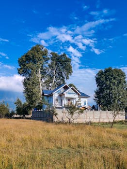 Red brick house behind trees under clear blue sky surrounded by nature